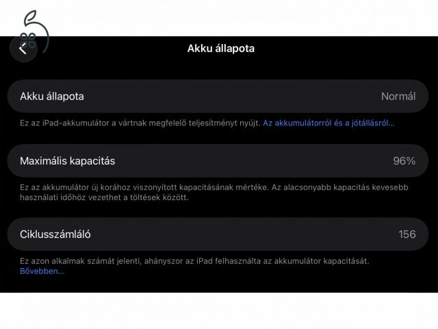 iPad Pro 13 M4 Chip 256GB Wifi+ cellular