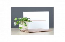 Használt Apple Macbook Air 13