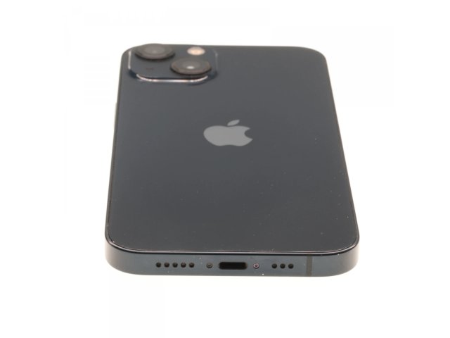 Apple iPhone 13 128 GB Blue 100%