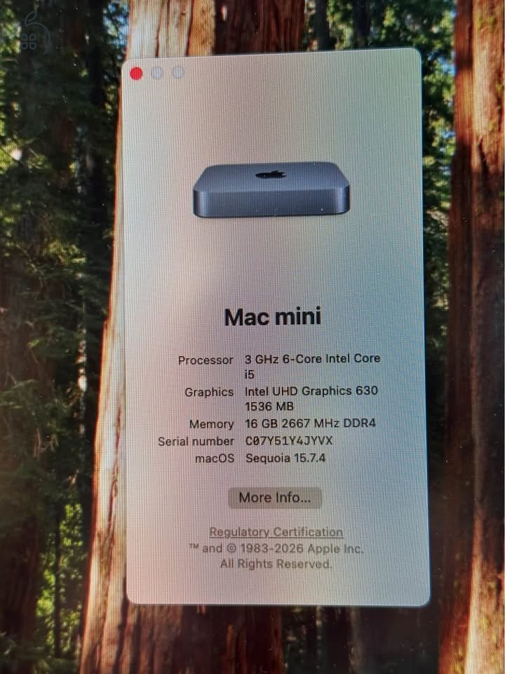Mac Mini 2018 (i5 3 Ghz, 16 GB DDR4, 256 GB SSD) + Apple billentyűzet + Magic Mouse