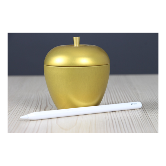 Használt Apple Pencil 2 B US-8369