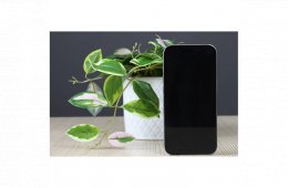 Használ Apple iPhone 15 Pro 1TB Natural Titan C+ US-8362