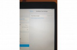 IPAD mini 2