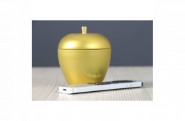 Használt Apple Siri Remote 2.gen B US-8421