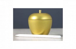 Használt Apple Pelcil Pro A+ US-8437