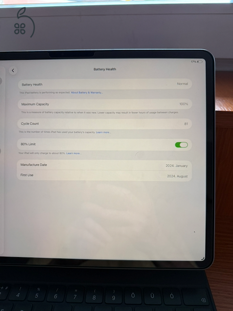 iPad 13