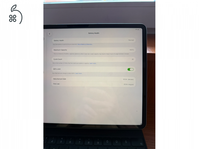 iPad 13