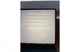 iPad 13