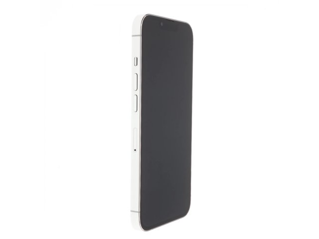 Apple iPhone 13 Pro Max 256 GB Silver 100%