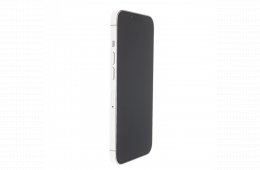 Apple iPhone 13 Pro Max 256 GB Silver 100%