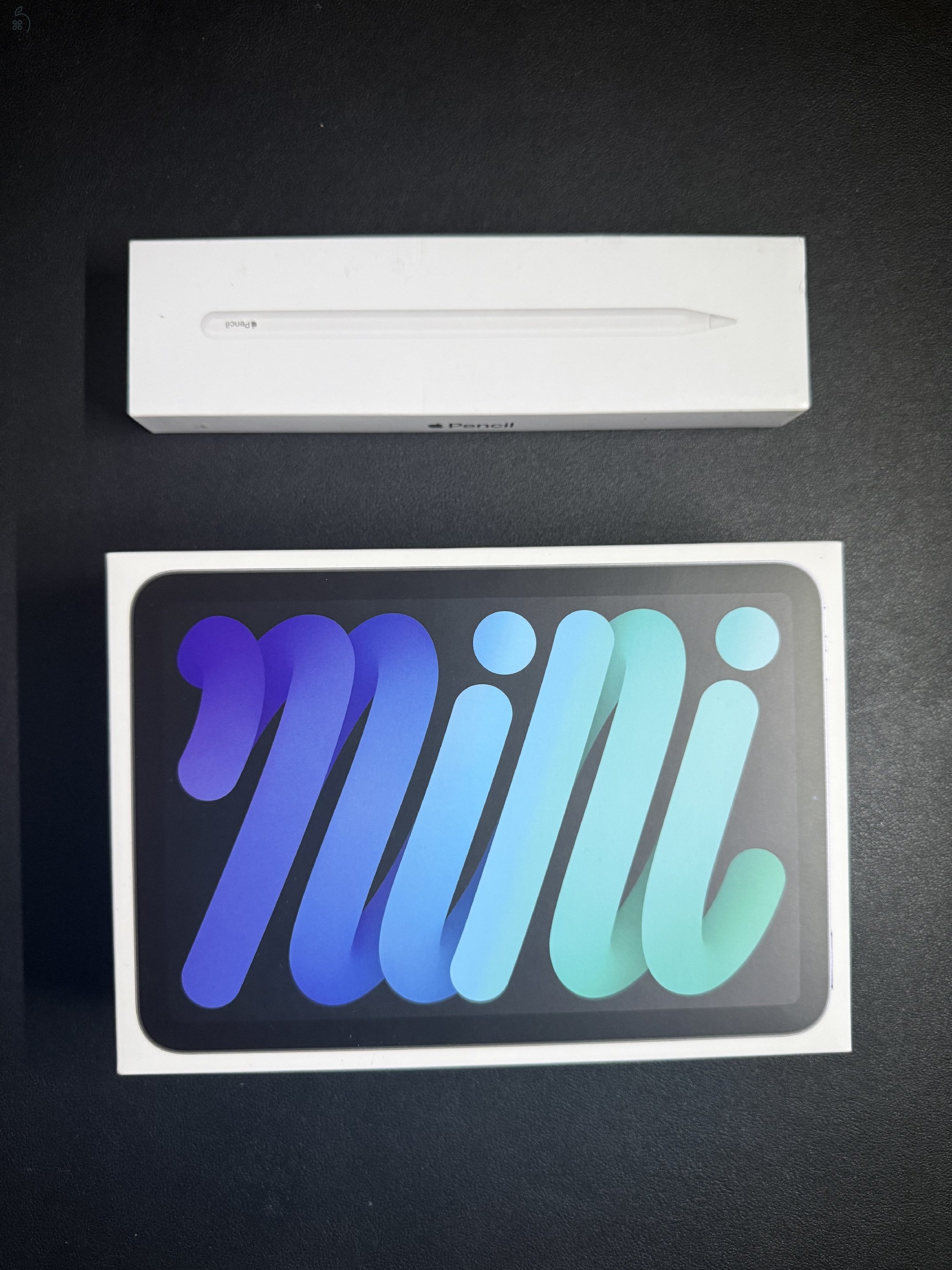 iPad mini 6 + Apple pencil 2