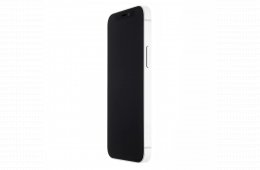 Apple iPhone 12 Mini 256 GB White 100%