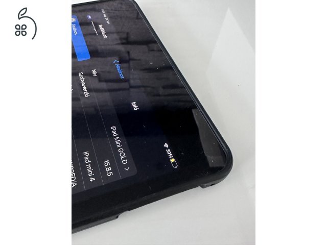 iPad Mini 4 - SIM
