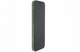 Apple iPhone 13 128 GB Green 100%