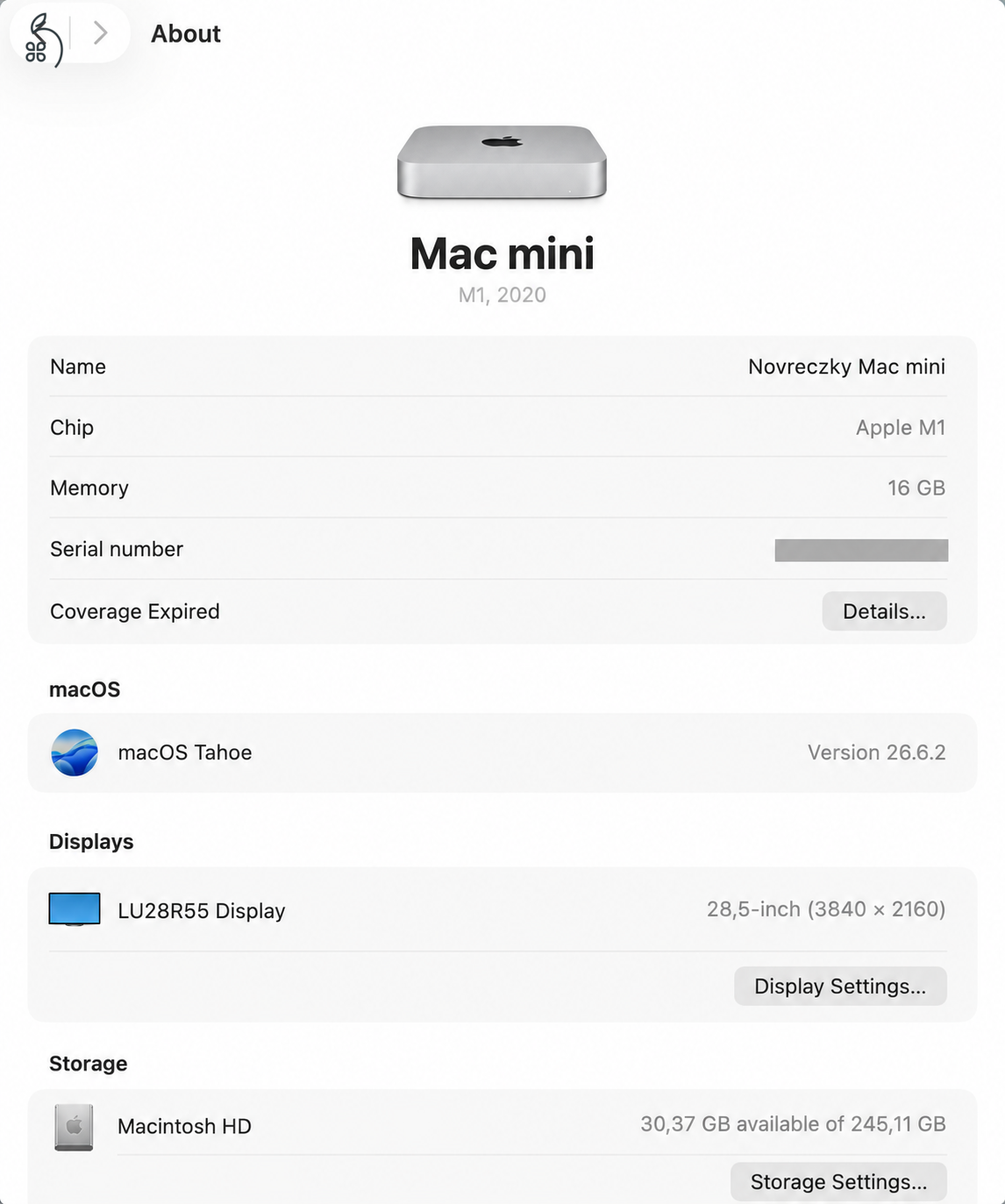 Mac mini M1 16 GB RAM / 256 GB SSD