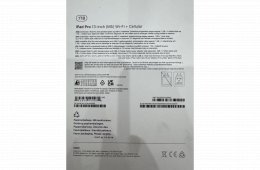 iPad Pro 13