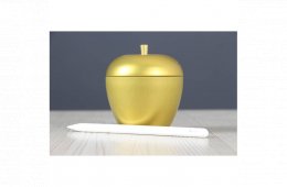 Használt Apple Pencil 2 C+ US-8500