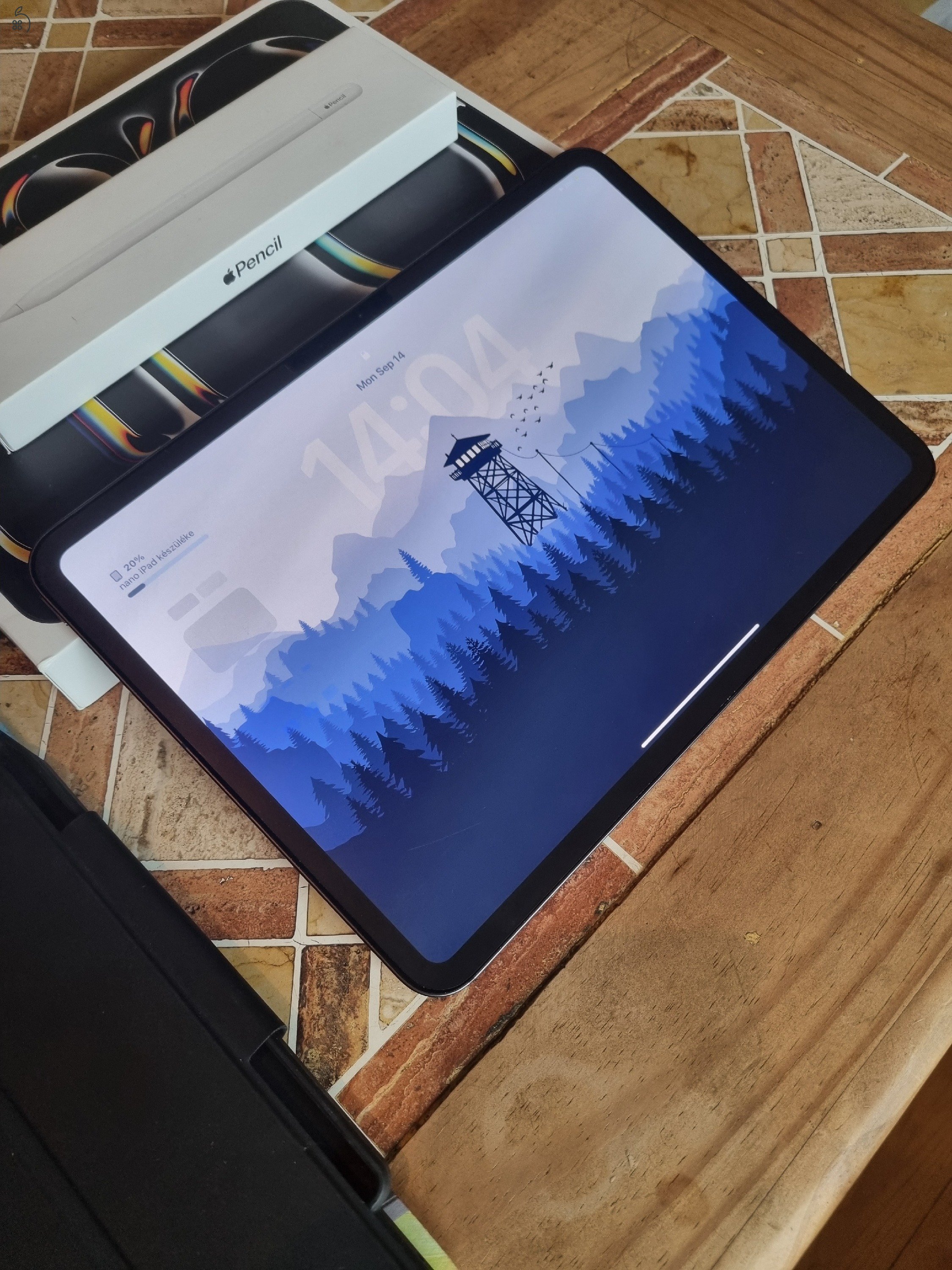 iPad Pro 11