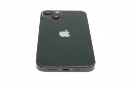 Apple iPhone 13 256 GB Green 100%