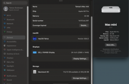 Apple Mac mini M2 Pro / 32 GB / 512 GB SSD