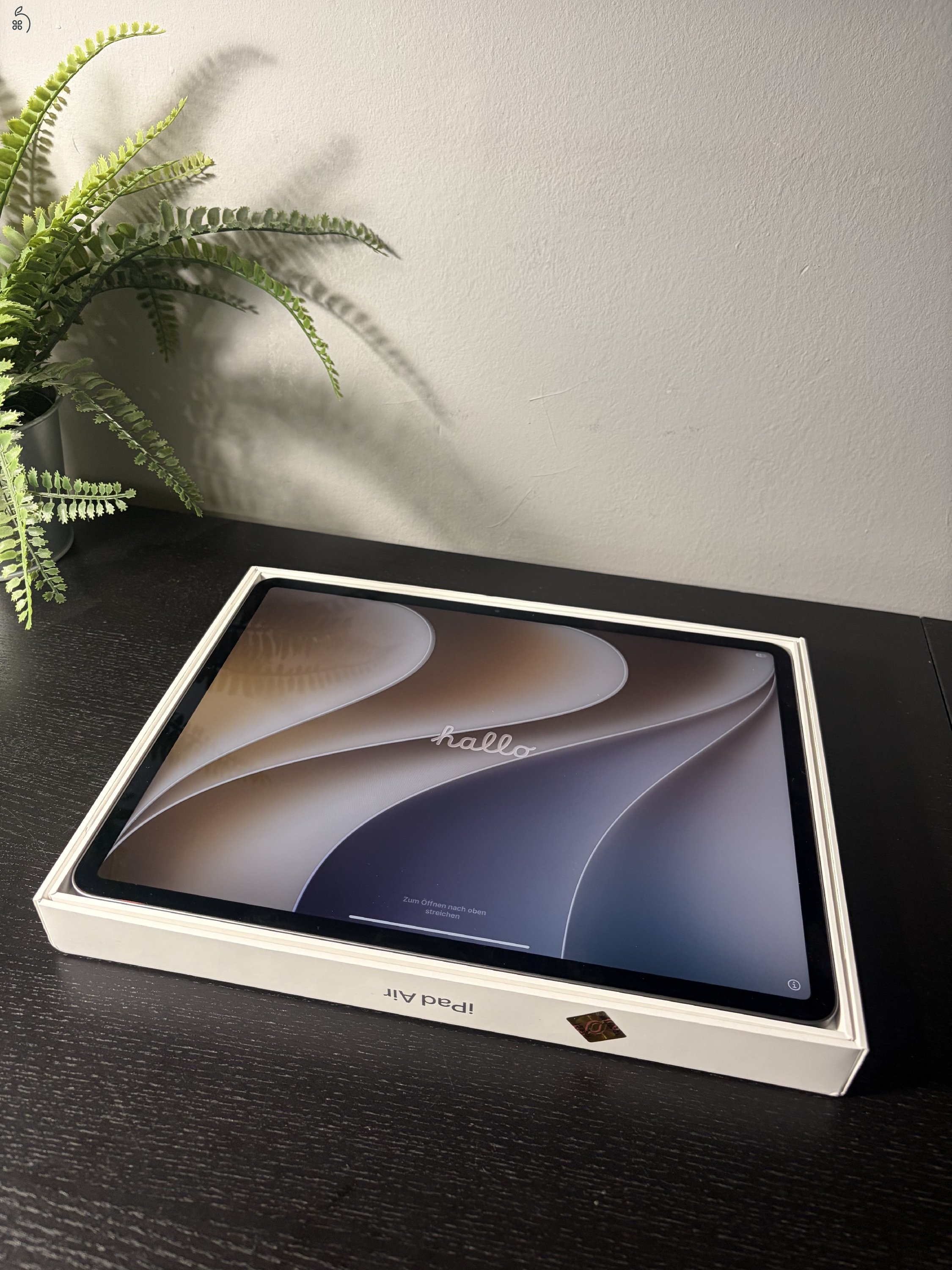 iPad Air 13