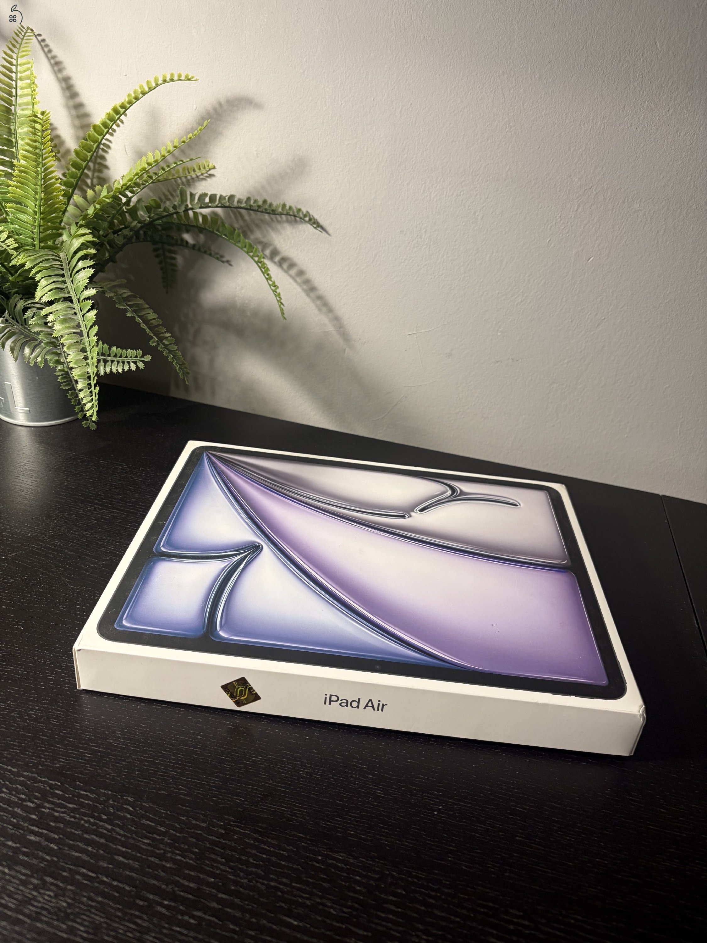 iPad Air 13