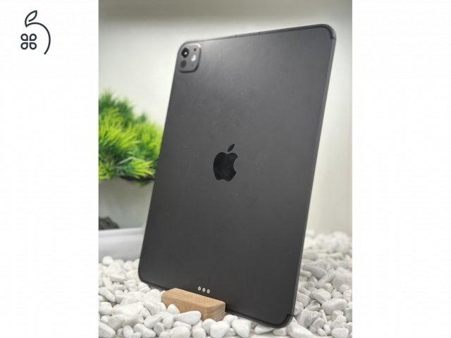 iPad Pro 11