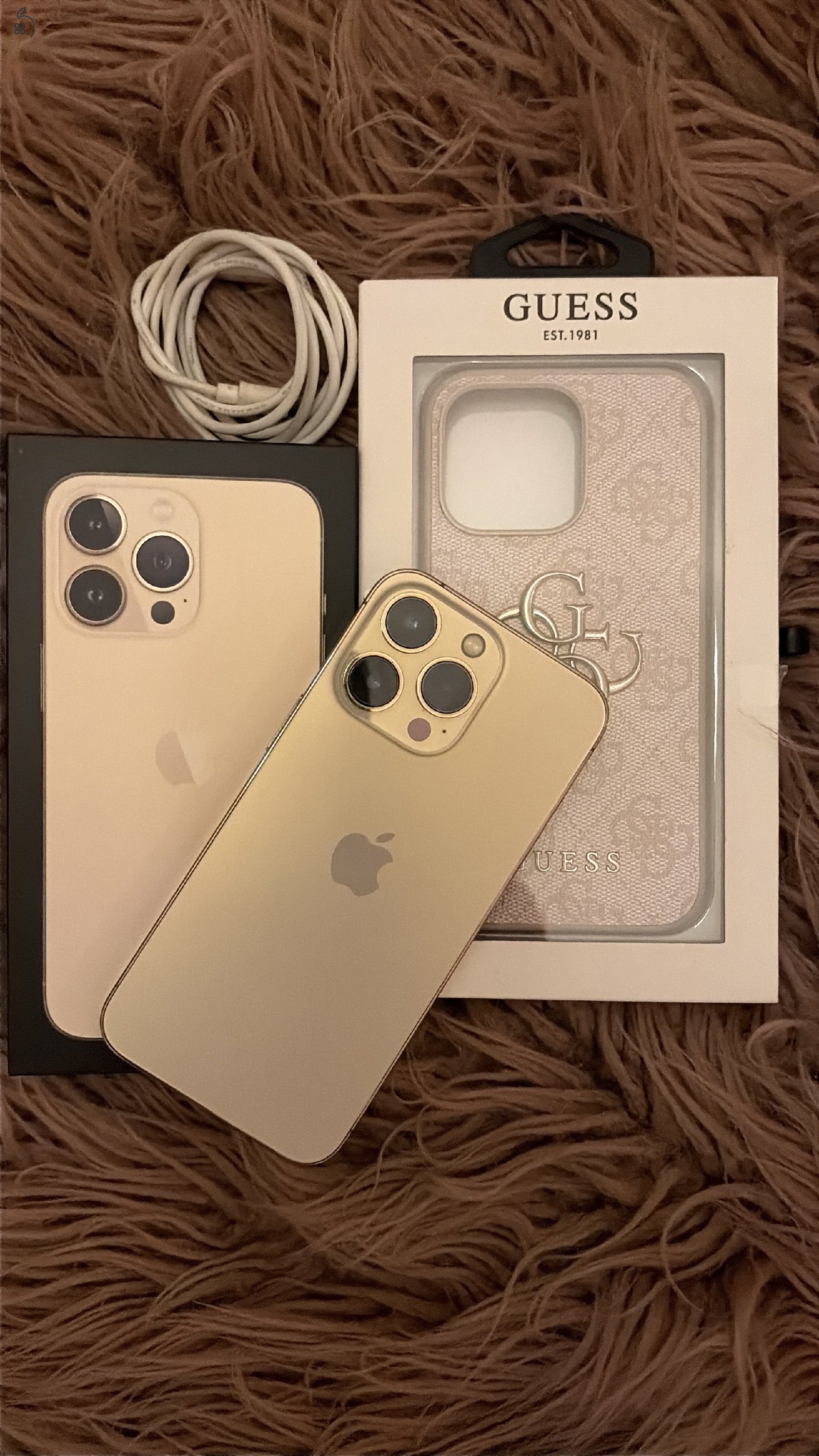 Iphone 13 Pro + Guess tok