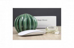 Használt Apple Magic Mouse 2 A US-8620