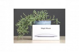 Használt Apple Magic Mouse 2 A US-8655