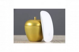 Használt Apple Magic Mouse 2 lightning B US-8666