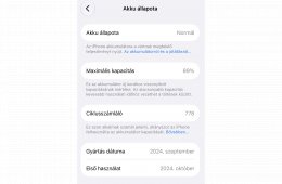 iPhone 16 Pro - Natural Titanum - 256 Gb