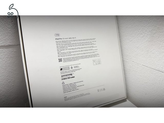 iPad Pro 13