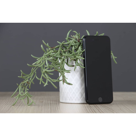 Használt Apple iPhone SE 2020 64 GB asztrofekete B US-8632