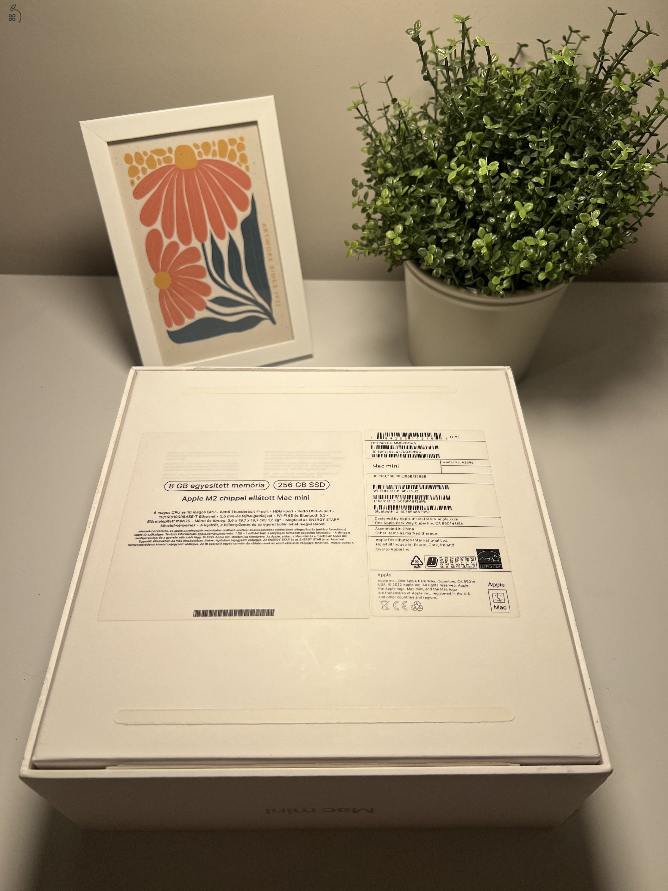 Apple Mac Mini M2 8 GB RAM / 256 GB SSD hibátlan, tesztelt, dobozában, ingyenes szállítással