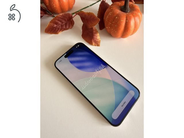 Iphone 15Pro 256G