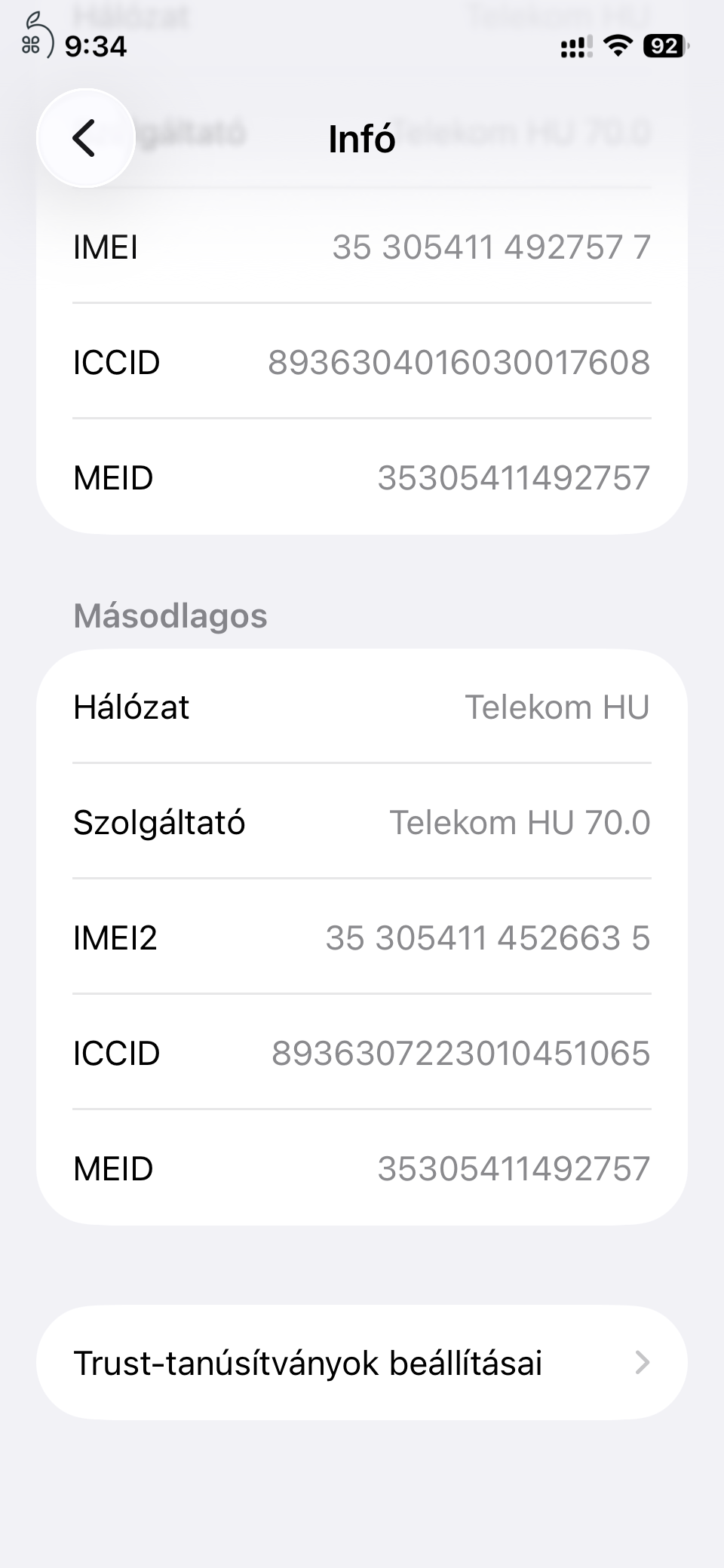iPhone 12 256 GB