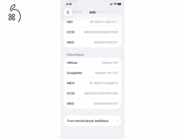 iPhone 12 256 GB