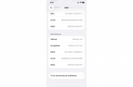 iPhone 12 256 GB