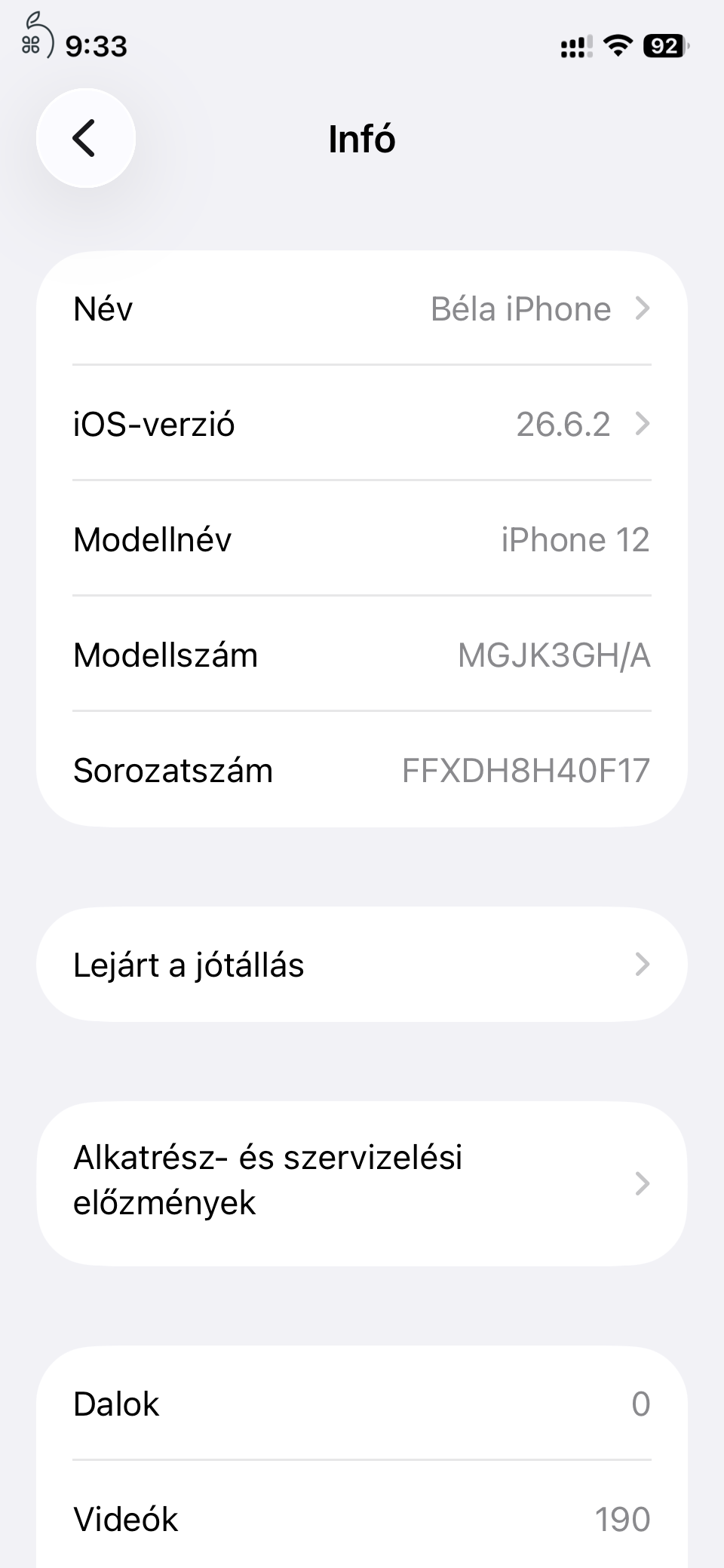 iPhone 12 256 GB