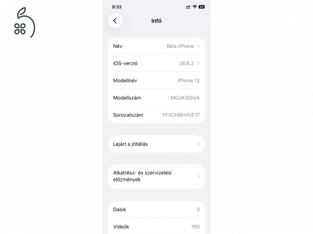 iPhone 12 256 GB