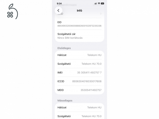 iPhone 12 256 GB