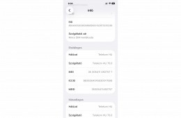 iPhone 12 256 GB