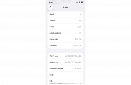 iPhone 12 256 GB