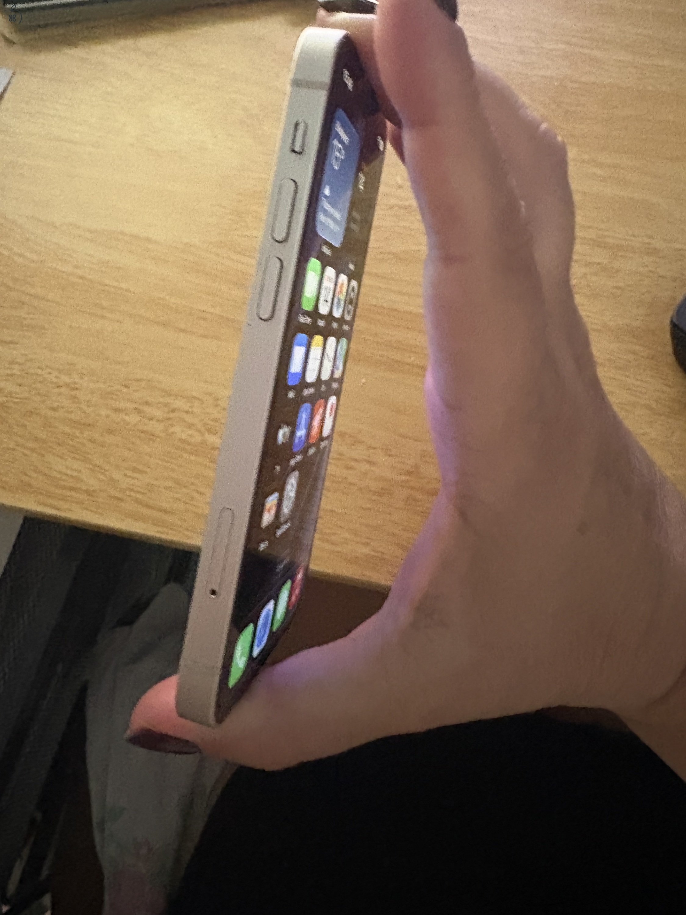 Apple iPhone 13 mini