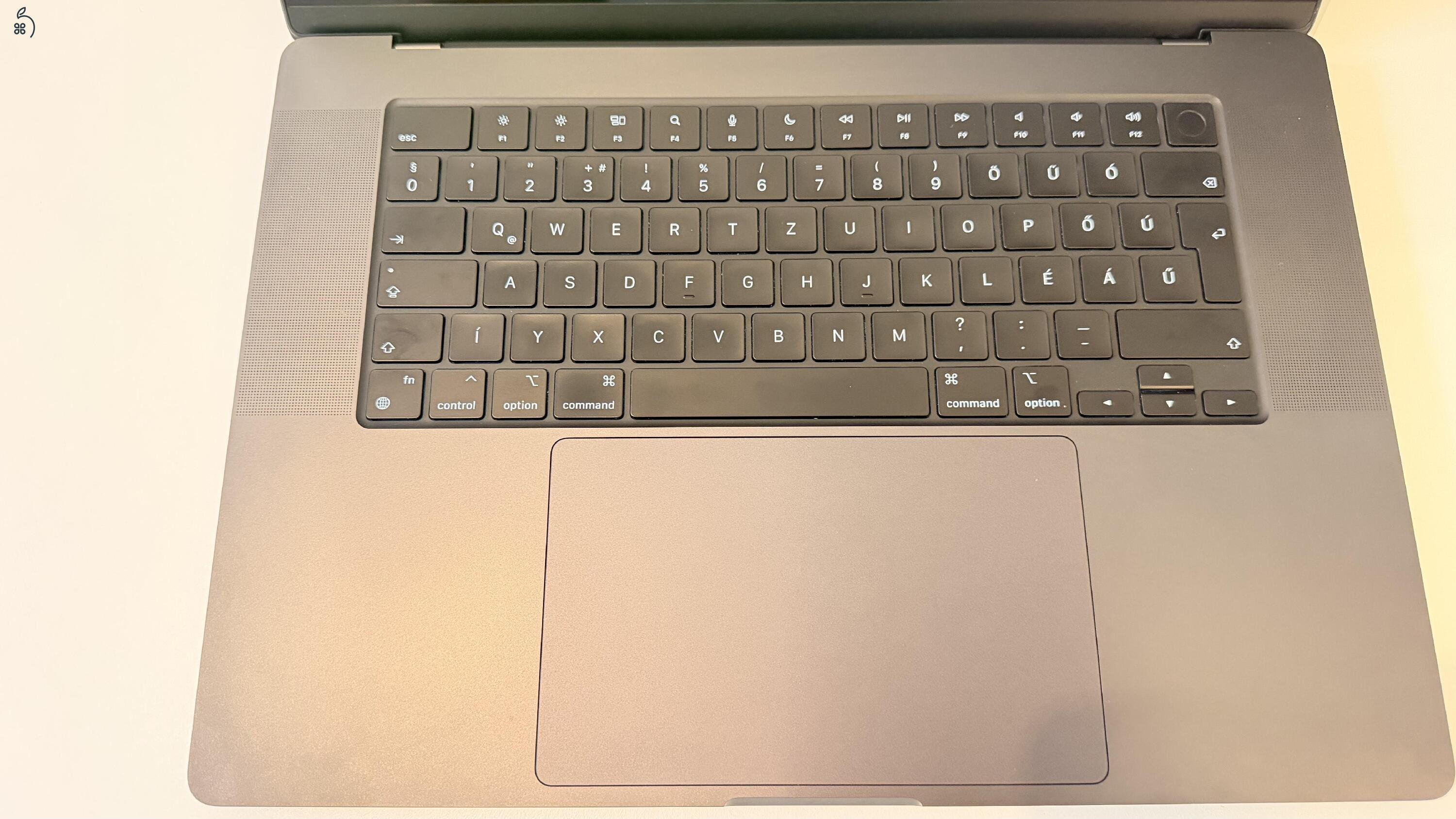 Apple Macbook Pro M3 Max 96 GB RAM 2TB SSD