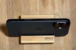 iPhone 17 256 GB 100% Akku + Spigen NanoPop MagFit tok