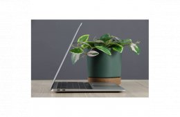 Használt Apple MacBook Air 13