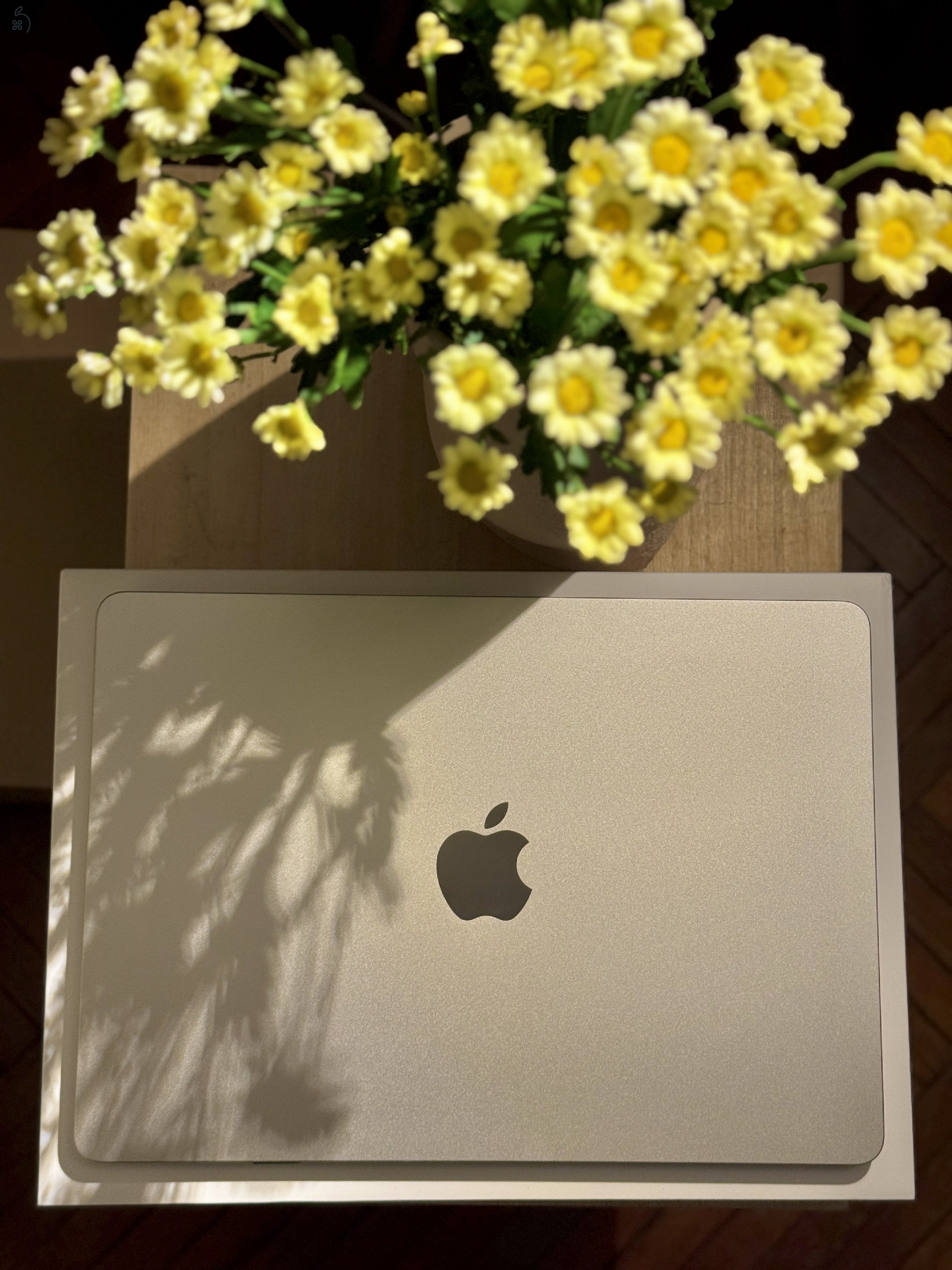 M2 Starlight 8GB RAM 256GB SSD MacBook Air 13,6