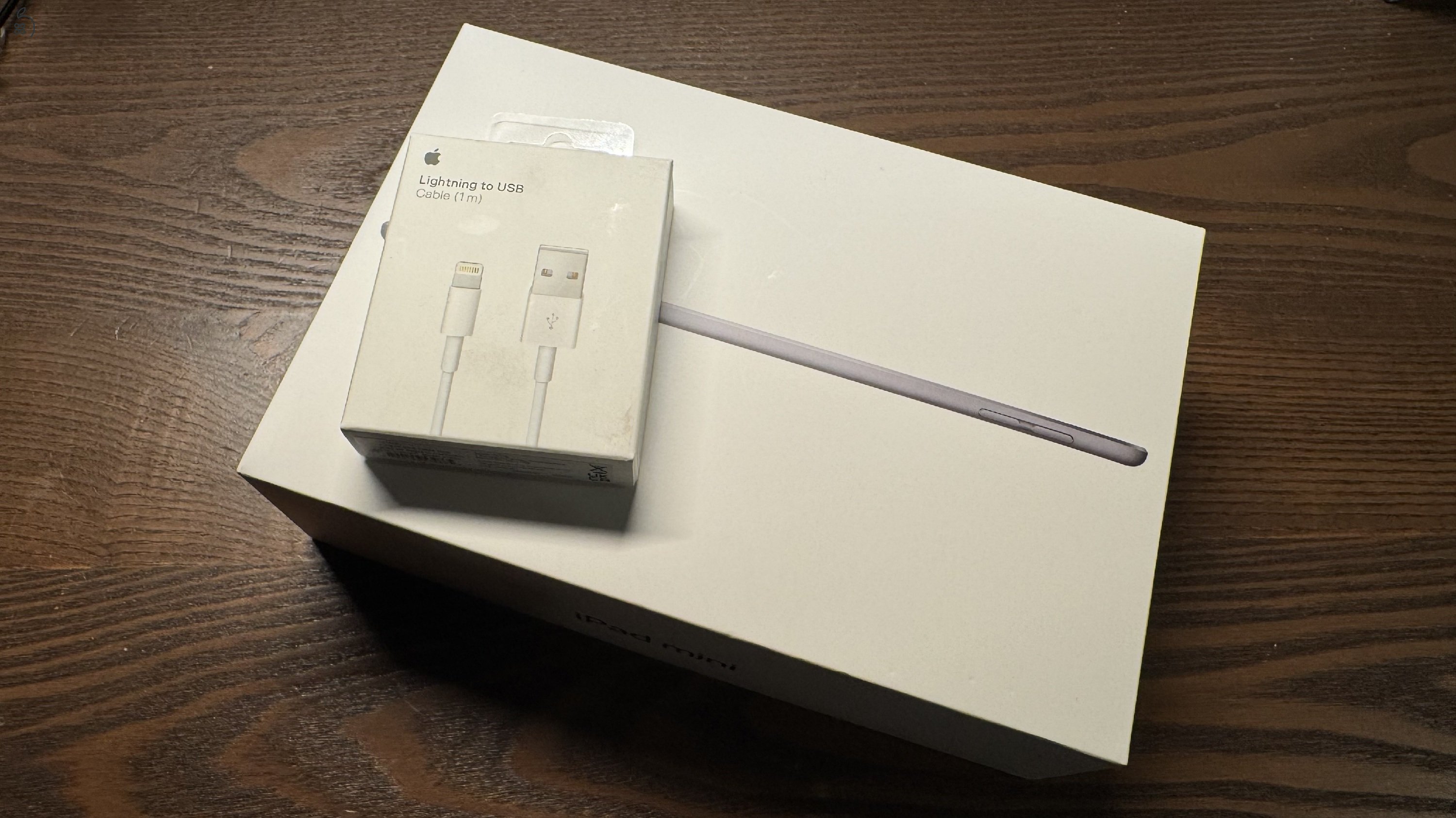 iPad Mini 5 64 GB